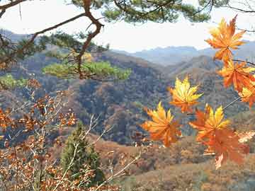 九月中旬，四大星座桃花运势旺盛，白羊座甜蜜爱情来袭