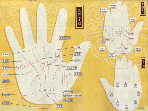 手相学：窥探命运的神秘艺术，你了解多少？