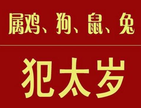 鼠年出生者机智灵活步步为营，属牛之人勤勉踏实稳中求胜