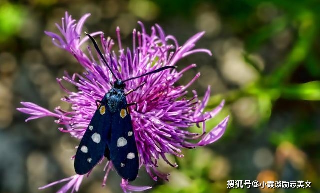 10 月底五大生肖转运：事业爱情双丰收，鼠牛领衔