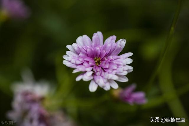 9 月好运成双，霉运退散，这些星座迎来转运最佳时机