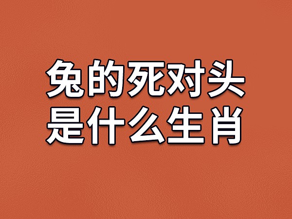 属蛇、属兔和属羊：避世不争的生肖，智慧的隐士