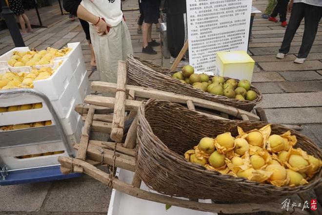 澳门一肖一码澳门,暑期回乡赶集，探寻传统农村集市的起源与发展