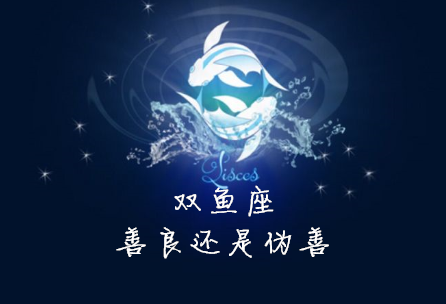 一码一肖 10，双鱼座的敏感天性与情感世界的神秘纽带